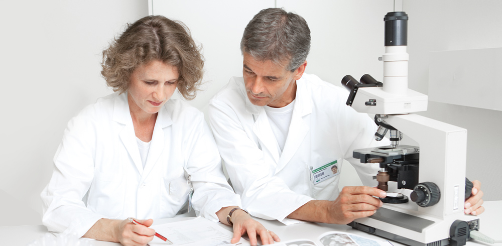 Leitende Ärztin und Chefarzt Nephrologie analysieren Laborresultate